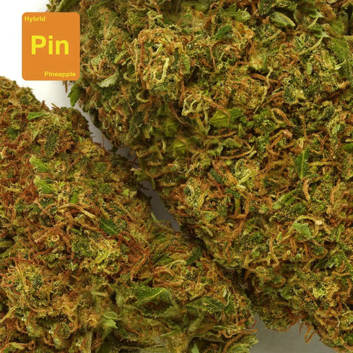 pineapple cbd flower bud