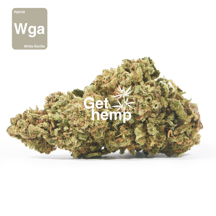 white gorilla cbd hemp bud flower