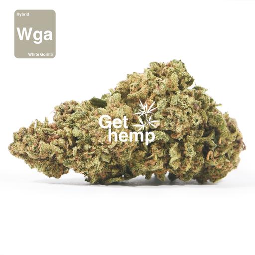 white gorilla cbd hemp bud flower