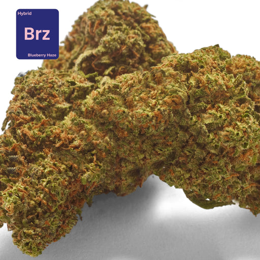 CBD flower bud bleuberry haze
