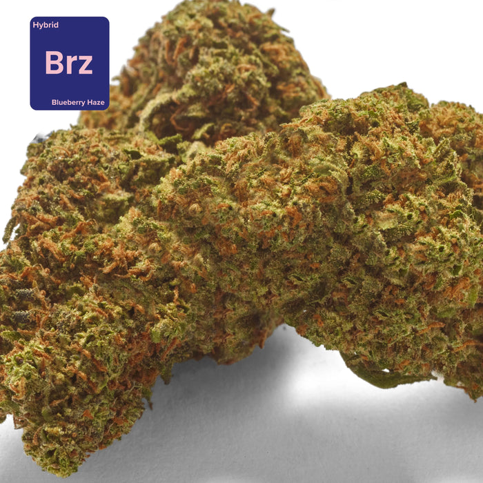 CBD flower bud bleuberry haze