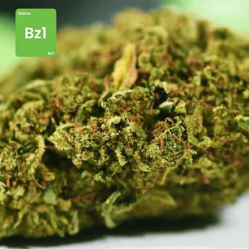 CBD Flower Bud Bz1 Gethemp