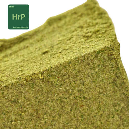 Gethemp Harmony Pollen CBD Flower Bud