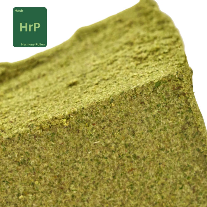 Gethemp Harmony Pollen CBD Flower Bud