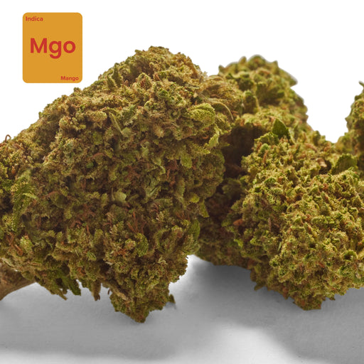 CBD flower bud mango