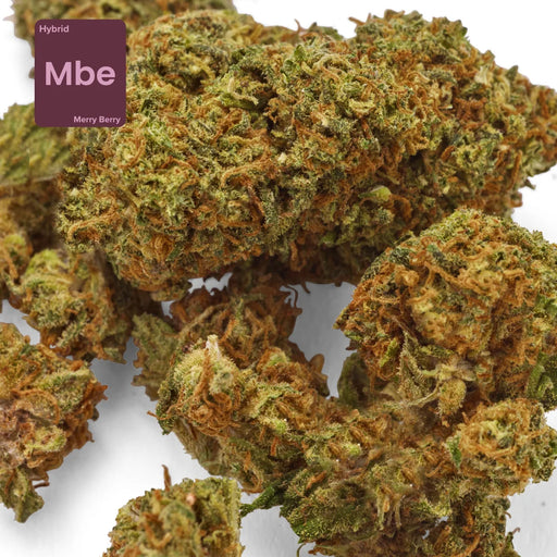 Gethemp Merry Berry CBD Flower Bud