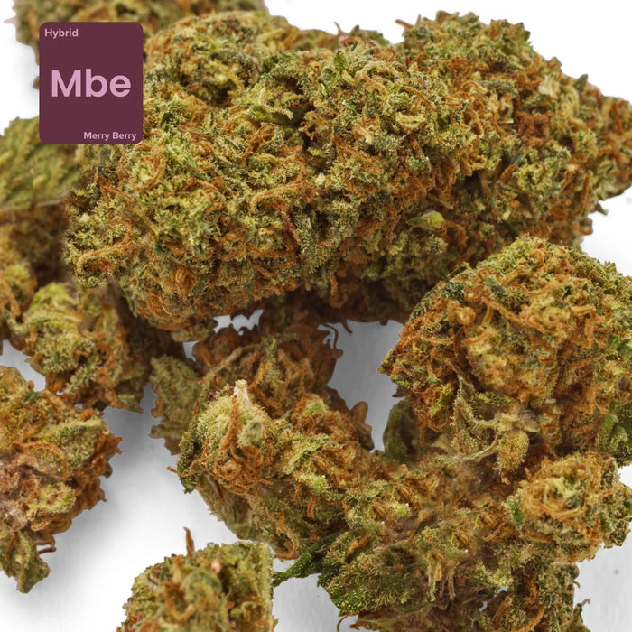 Gethemp Merry Berry CBD Flower Bud