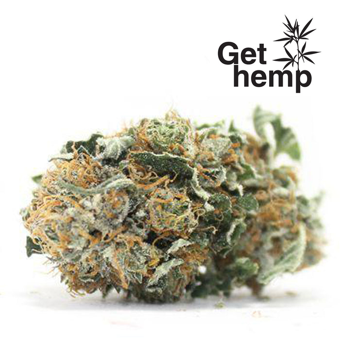 "Big Bud" CBD Hemp Flowers (CBD 18% Max) - Gethemp