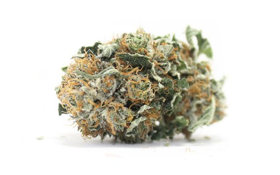 "Big Bud" CBD Hemp Flowers (CBD 18% Max) - Gethemp