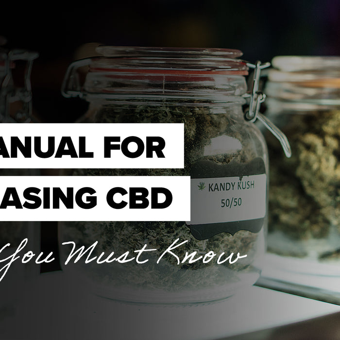 The Manual for Purchasing CBD Flowers: What You Must Know