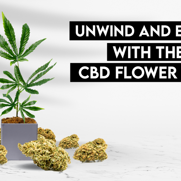 Unwind and Explore with the Finest CBD Flower Online
