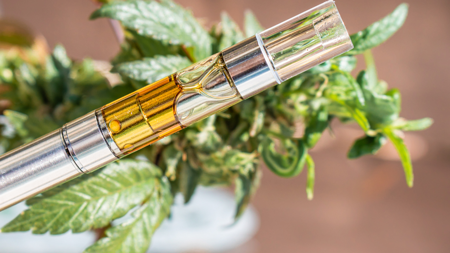 Exploring Hemp-Derived HHC Vapes: The Next Big Thing in Cannabinoids