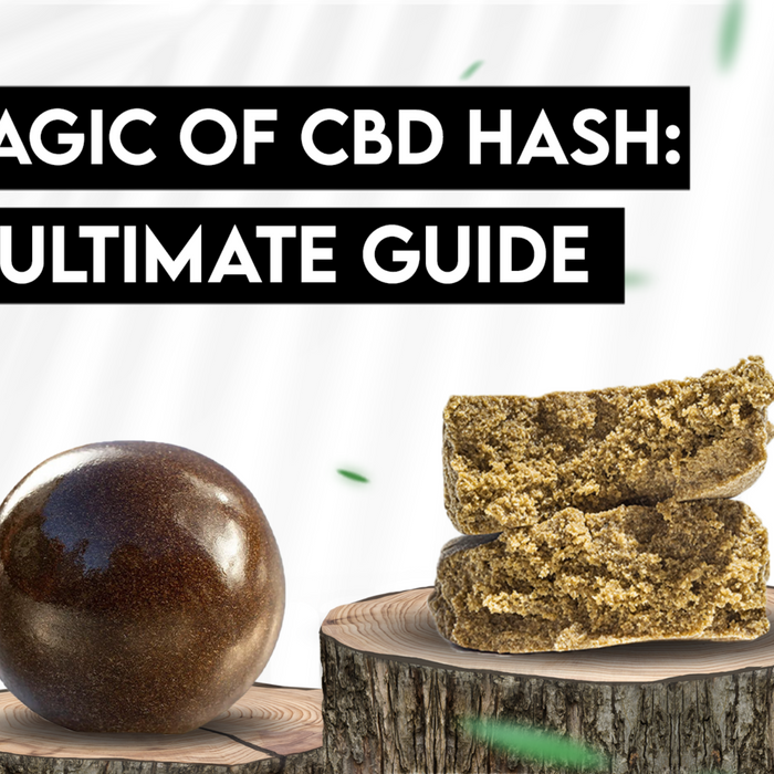 The Magic of CBD Hash: Your Ultimate Guide