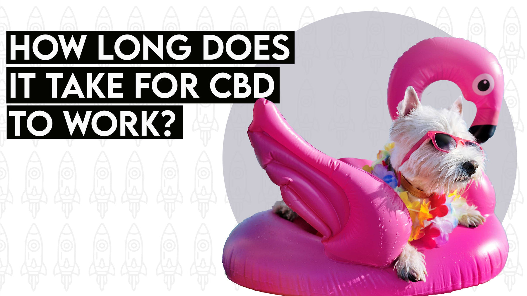 How Long Does It Take for CBD Oil to Work?