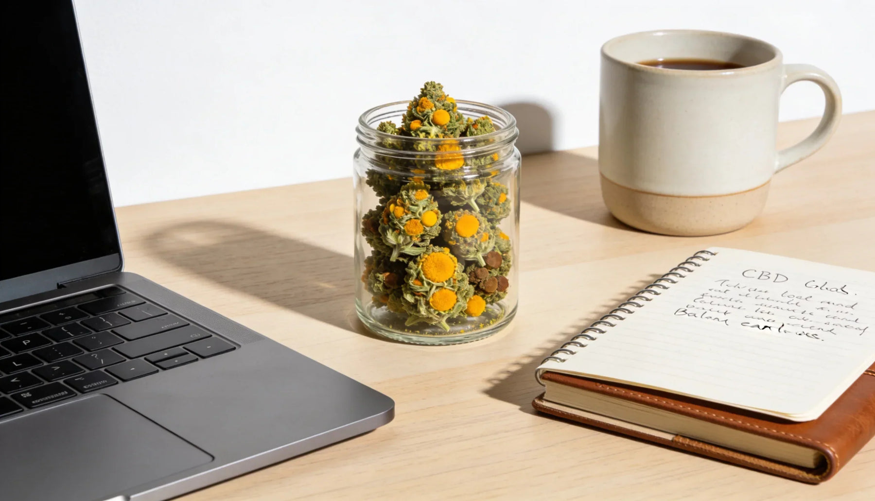 CBD Flower for Focus and Productivity: A Calm, Clear Guide to Staying in Your Flow