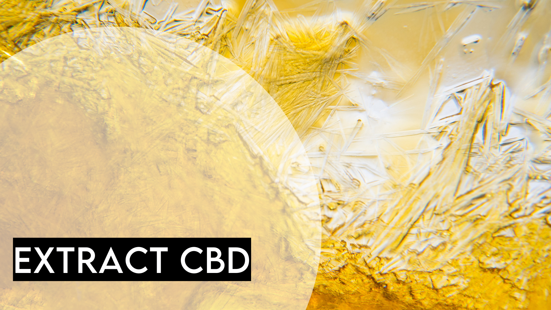 How Is CBD Oil Is Made: The Full Process