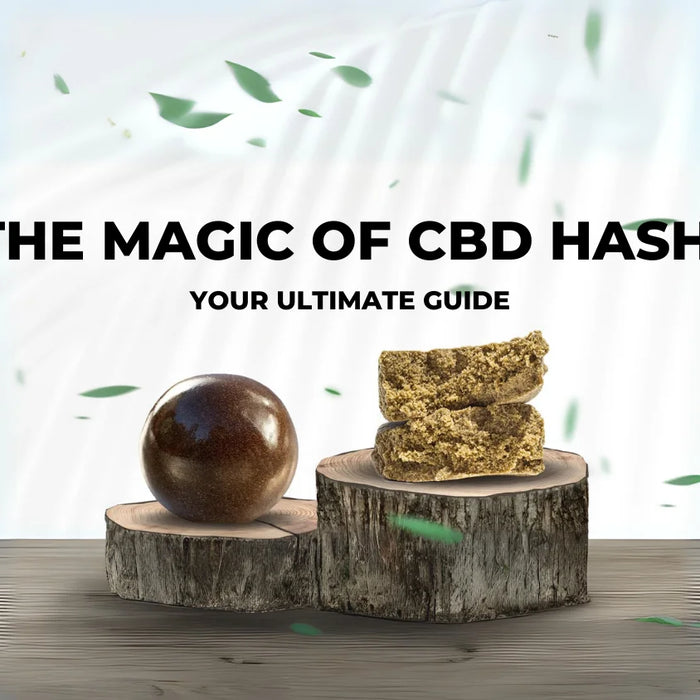 The Magic of CBD Hash Your Ultimate Guide