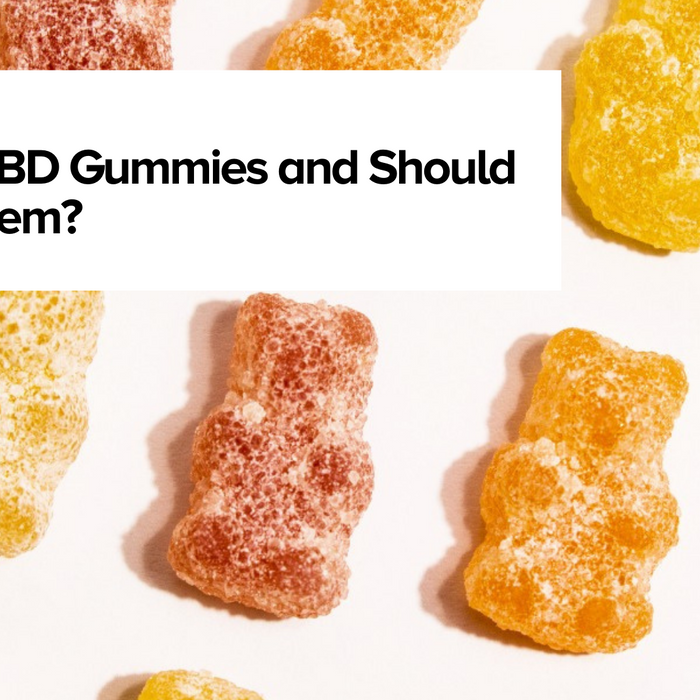 What Are CBD Gummies and Should You Use Them?