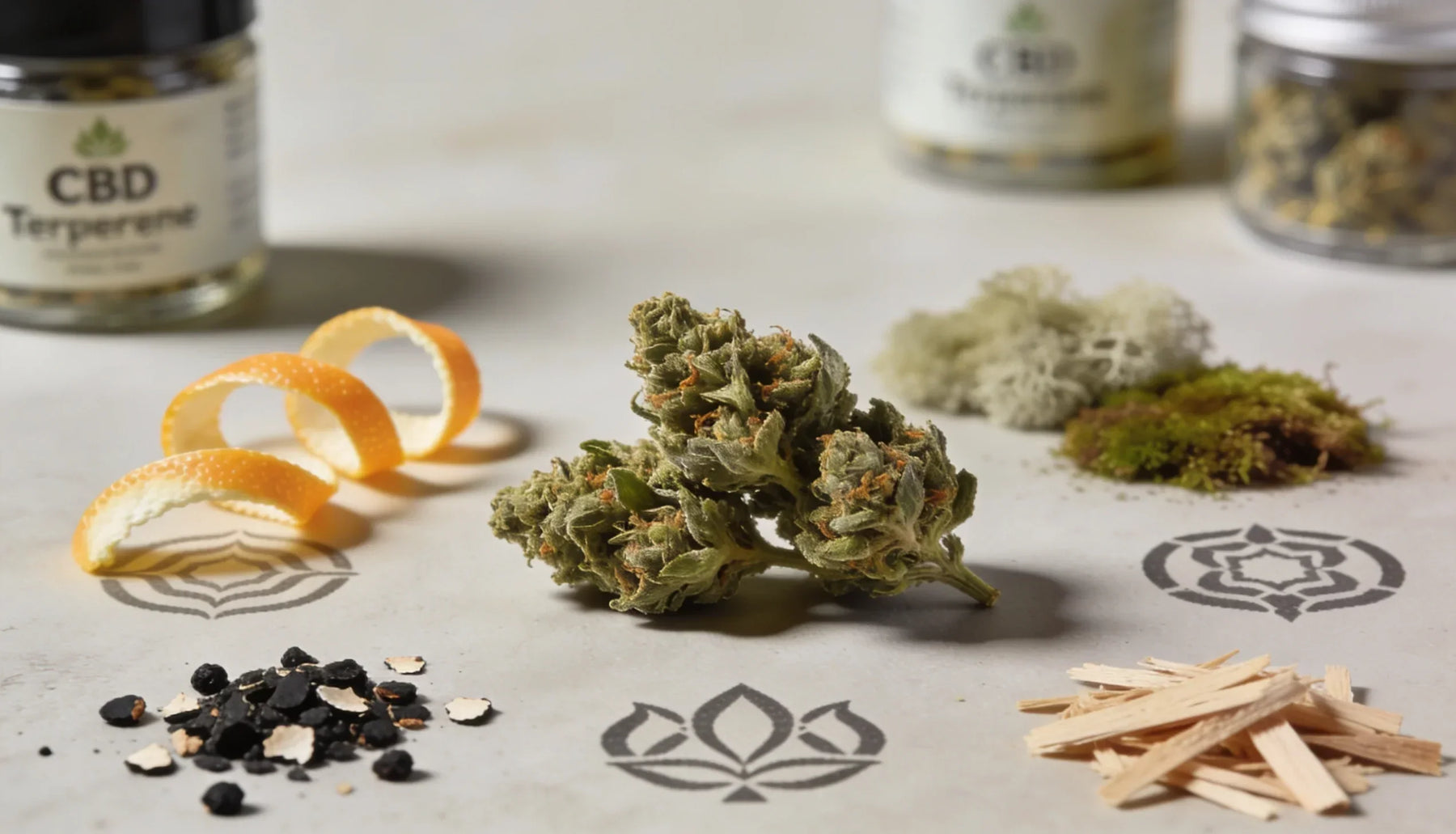 Why Terpenes Matter More Than CBD Percentage: The Part Everyone Overlooks (Until They Don’t)