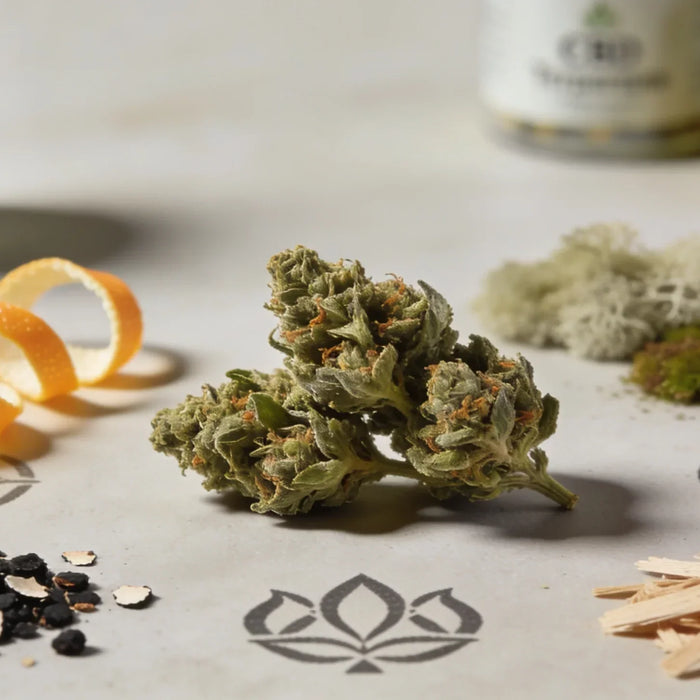 Why Terpenes Matter More Than CBD Percentage: The Part Everyone Overlooks (Until They Don’t)