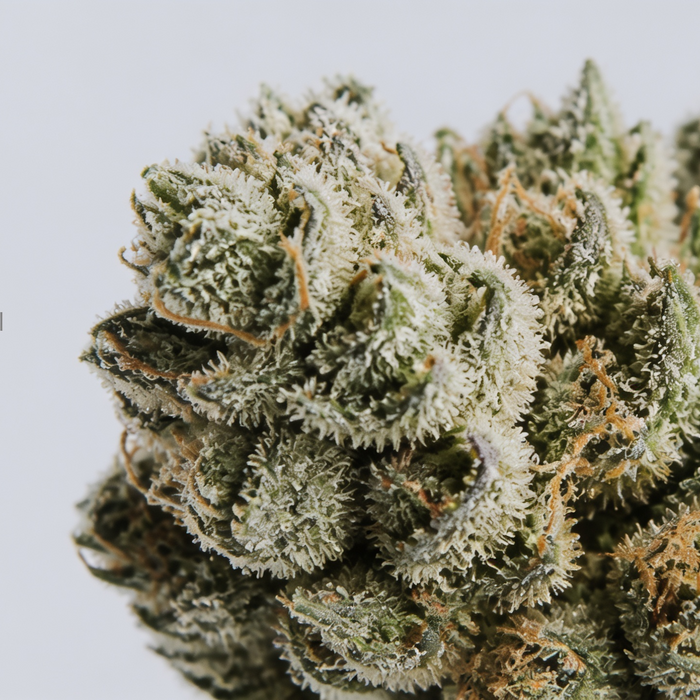 Why White Cali Looks White: The Science of Trichome Density