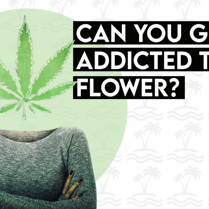 Can You Get Addicted to CBD Flower?