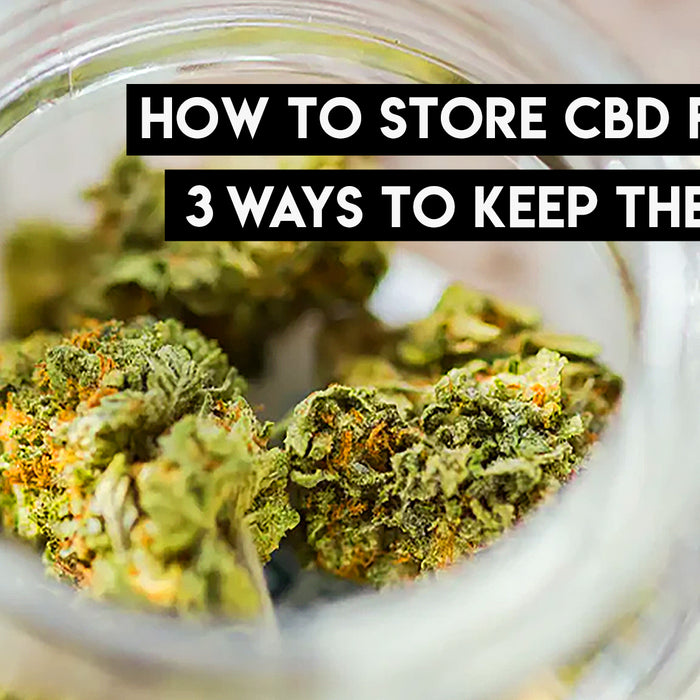 How to store CBD flowers