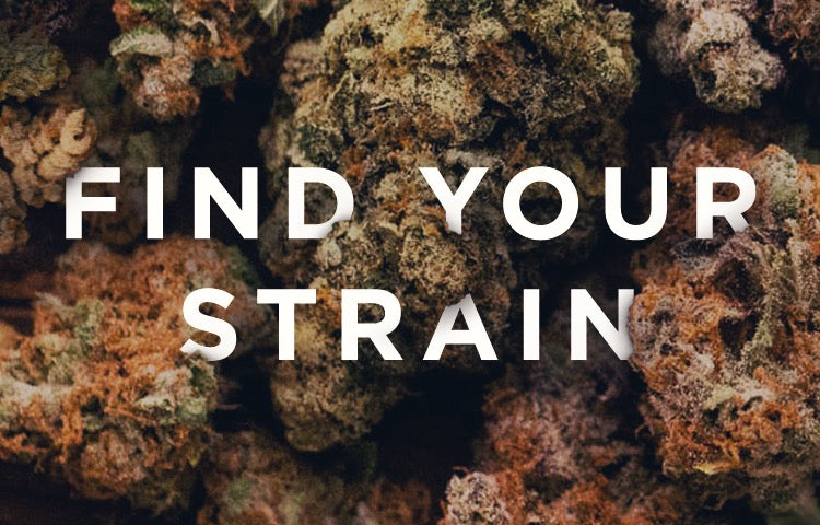 What Are Hemp CBD Buds? — Gethemp