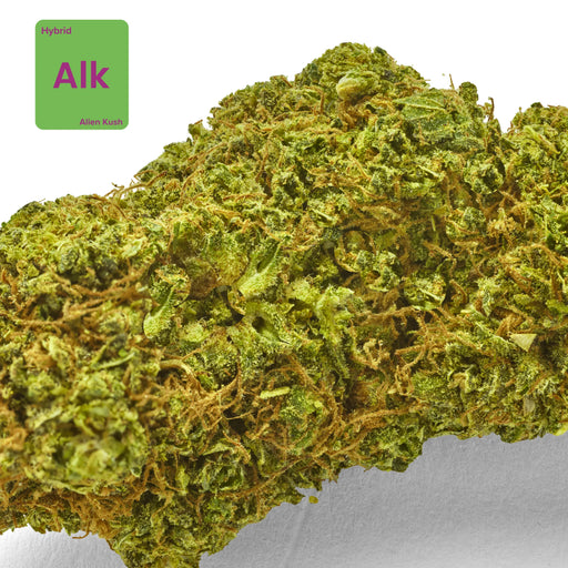 Gethemp Alien Kush CBD Flower Bud 