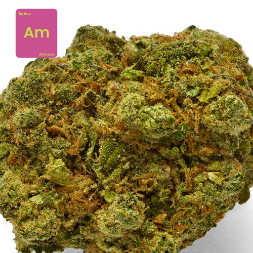 Gethemp Amnesia CBD Flower Bud 