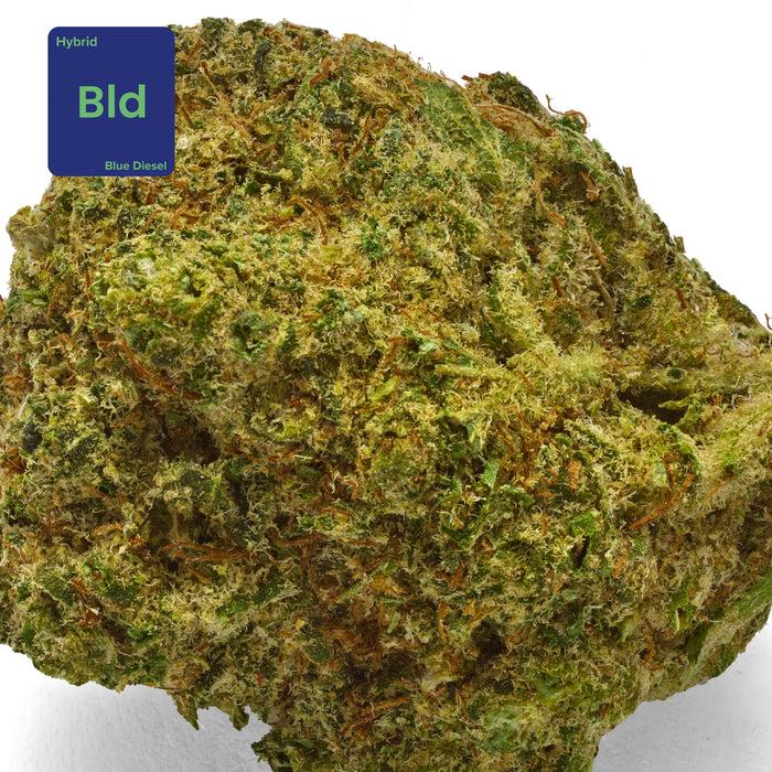 Gethemp Blue Diesel CBD Flower Bud 