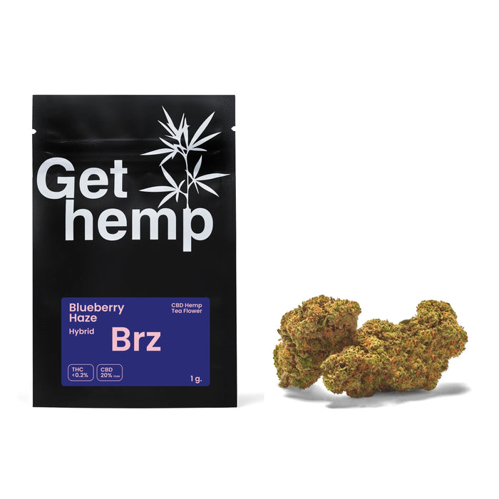 CBD flower bud bleuberry haze 