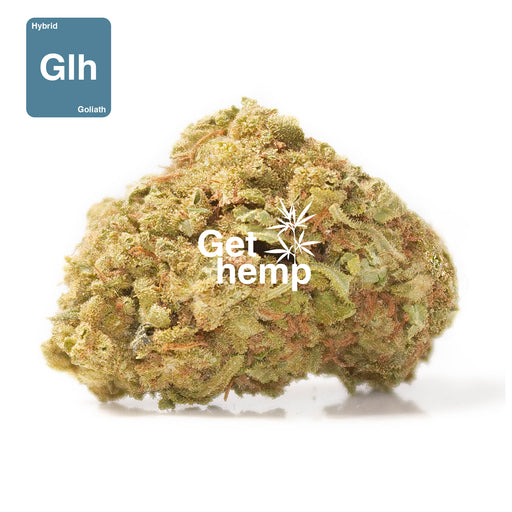 CBD hemp bud flower goliath