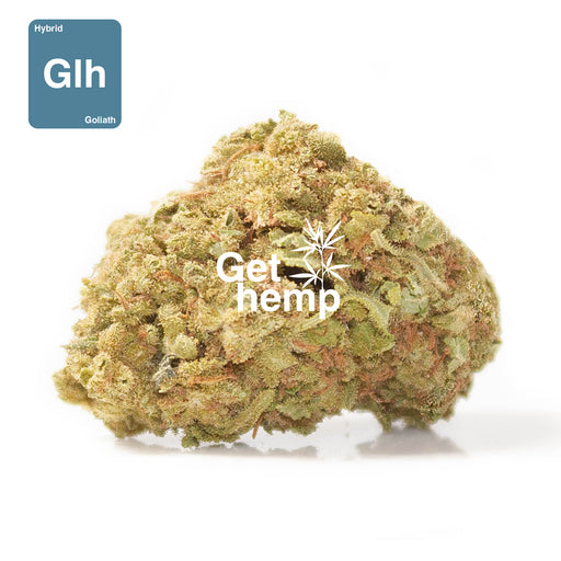 CBD hemp bud flower goliath