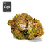 CBD hemp bud flower gorilla glue