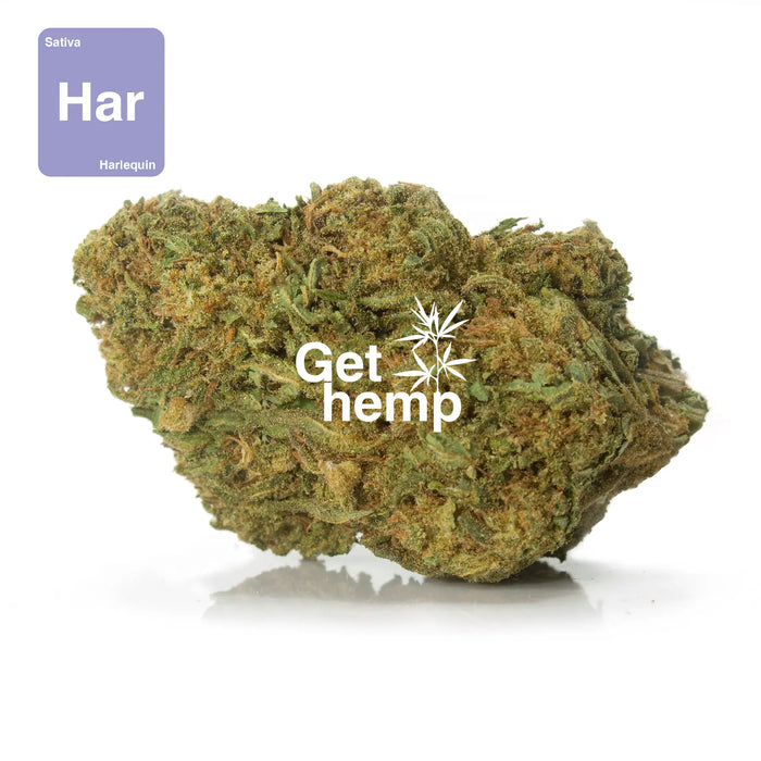 CBD hemp bud flower harlequin