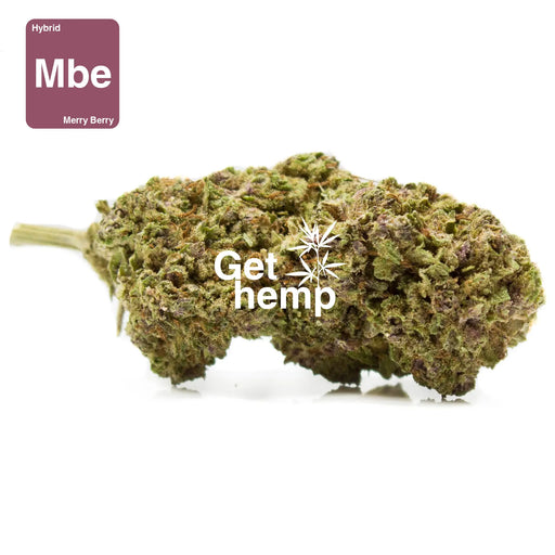 CBD hemp bud flower merry berry