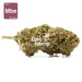 CBD hemp bud flower merry berry