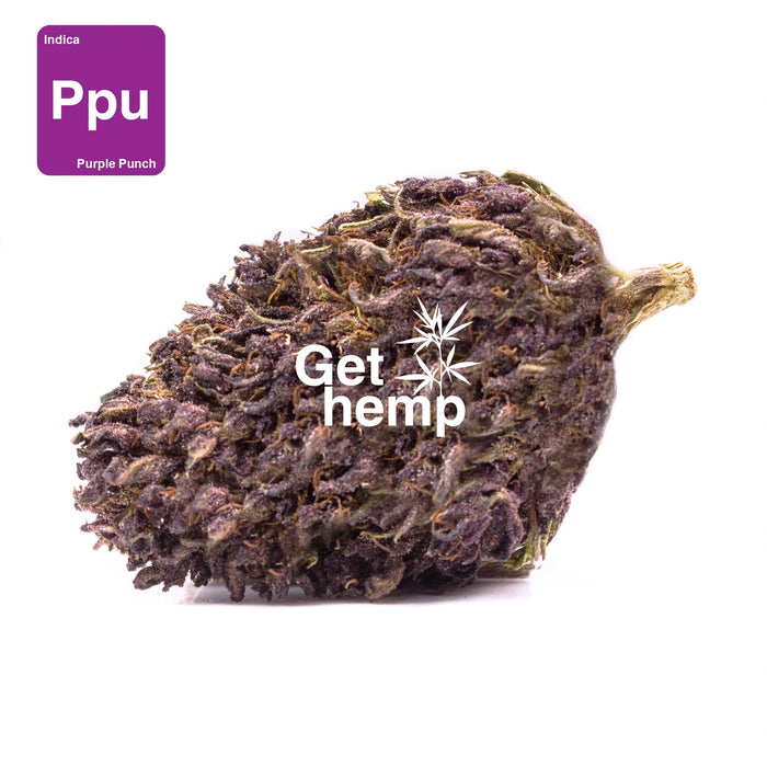 CBD hemp bud flower purple punch