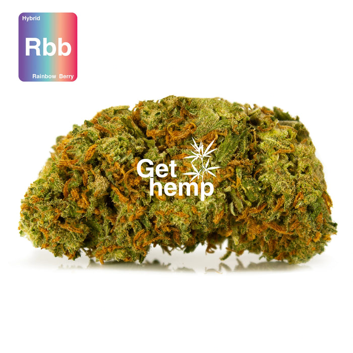 CBD hemp bud flower rainbow berry