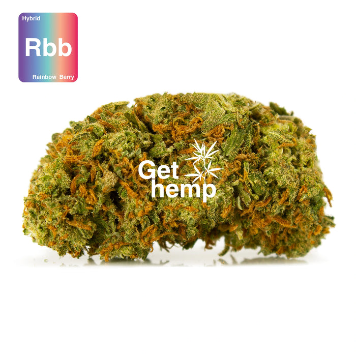 CBD hemp bud flower rainbow berry