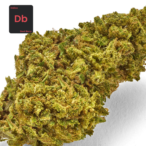 Gethemp Devil Berry CBD Flower Bud