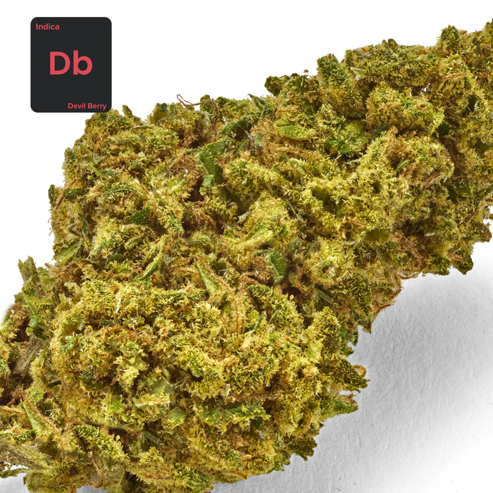Gethemp Devil Berry CBD Flower Bud