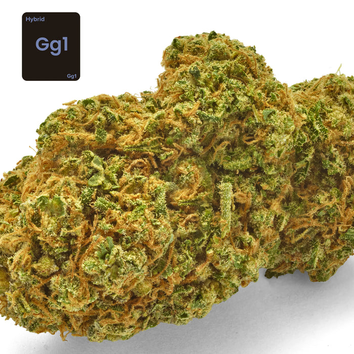 Gethemp GG1 CBD Flower Bud