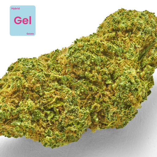 Gethemp Gelato CBD Flower Bud