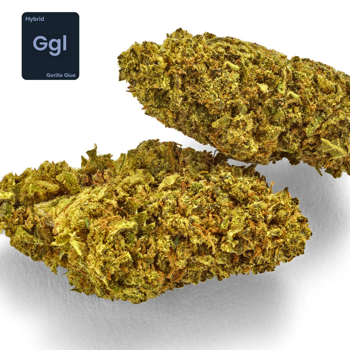 Gethemp Gorilla Glue CBD Flower Bud