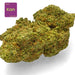 Gethemp Kandy Kush CBD Flower Bud 