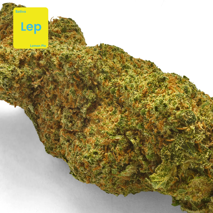 cbd flower lemon pie gethemp