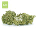 Cbd hemp bud flower lime