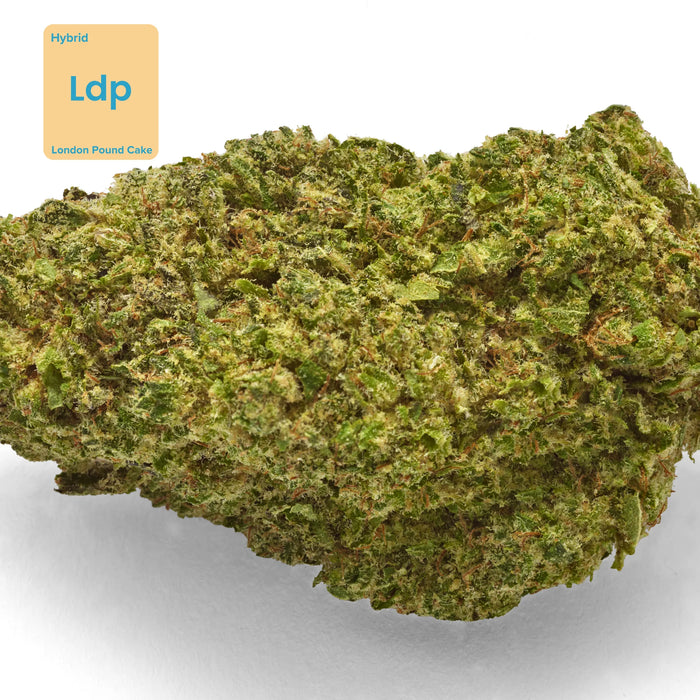 Gethemp London Pound Cake CBD Flower Bud 